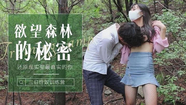 成年人黄色av-免费国语普通话在线完整版